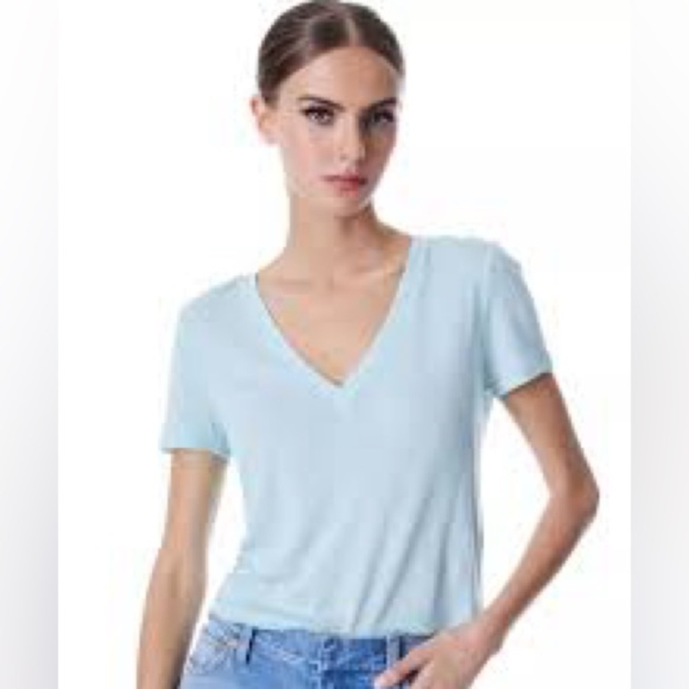Alice + Olivia NWT v-neck tee size Large